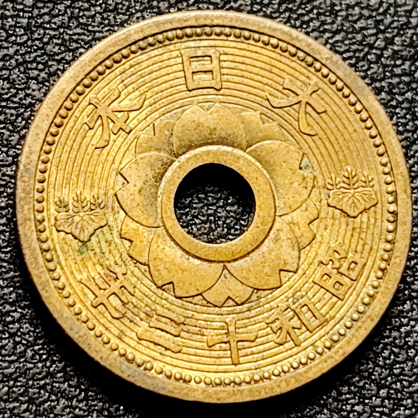 泉币菌-第180场- 精品福利场