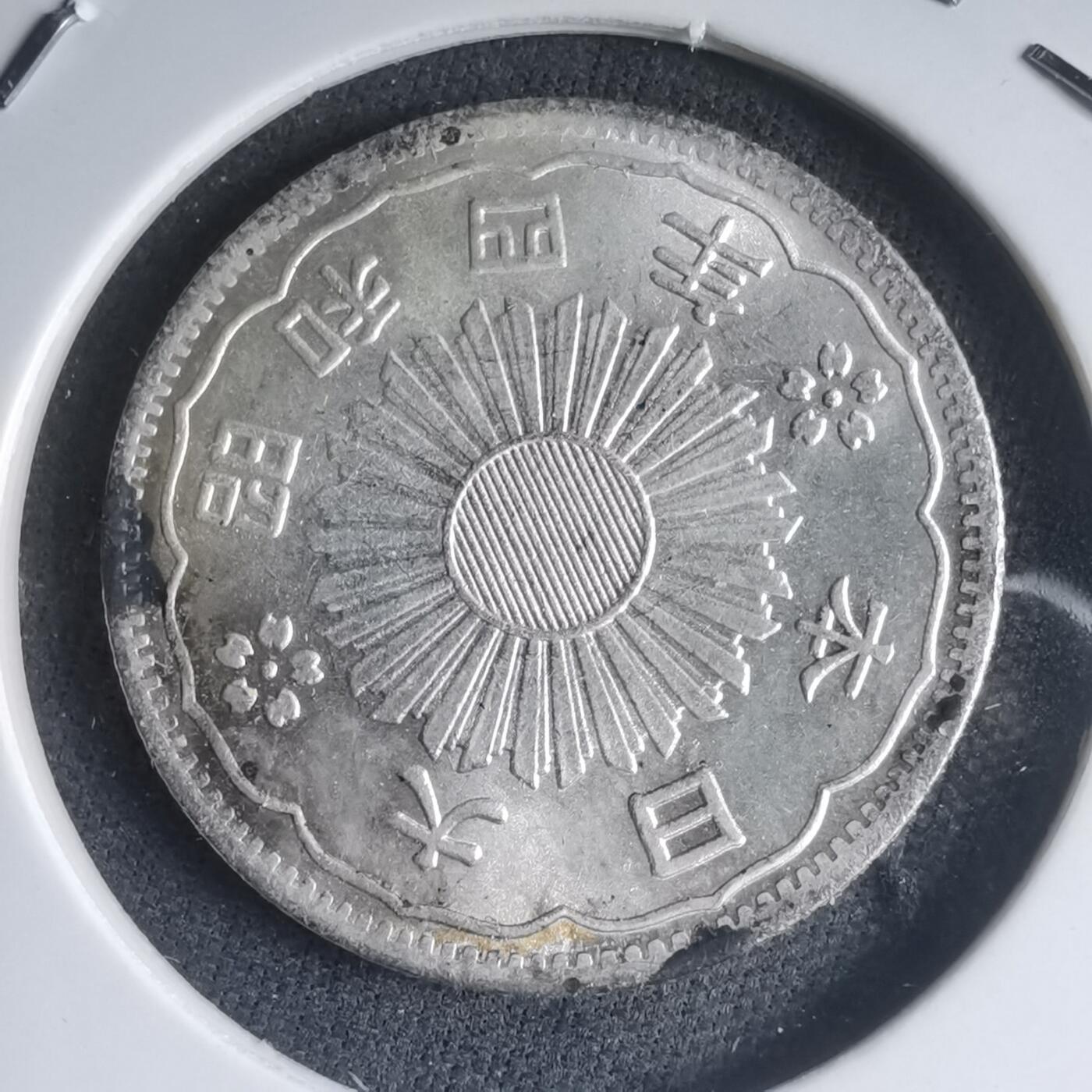 沼泽如烟--第981场