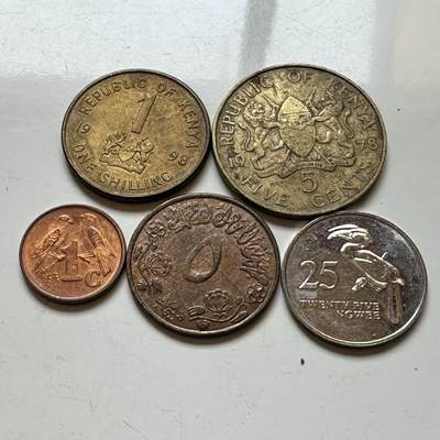 🌹外币初藏🌹🐯2026年第14场  每周二四六晚8️⃣点 接代拍 - 非洲散币5枚组—3