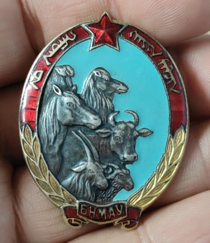 蒙古优秀牧民奖章