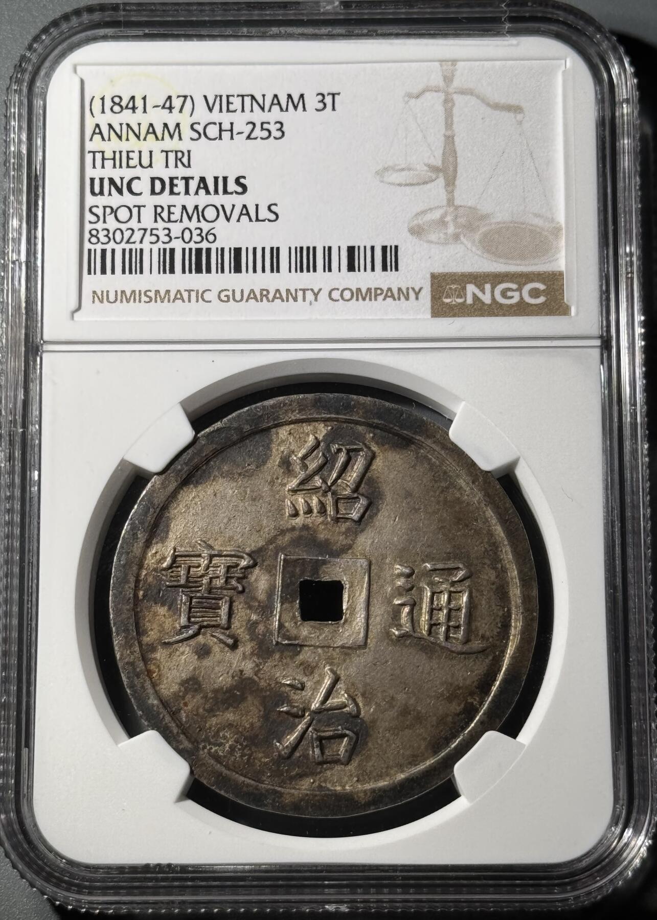 安南嗣德通宝富寿多男银币 