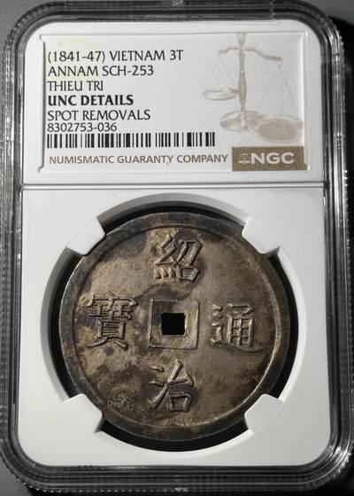 安南嗣德通宝富寿多男银币  - 安南嗣德通宝富寿多男银币 