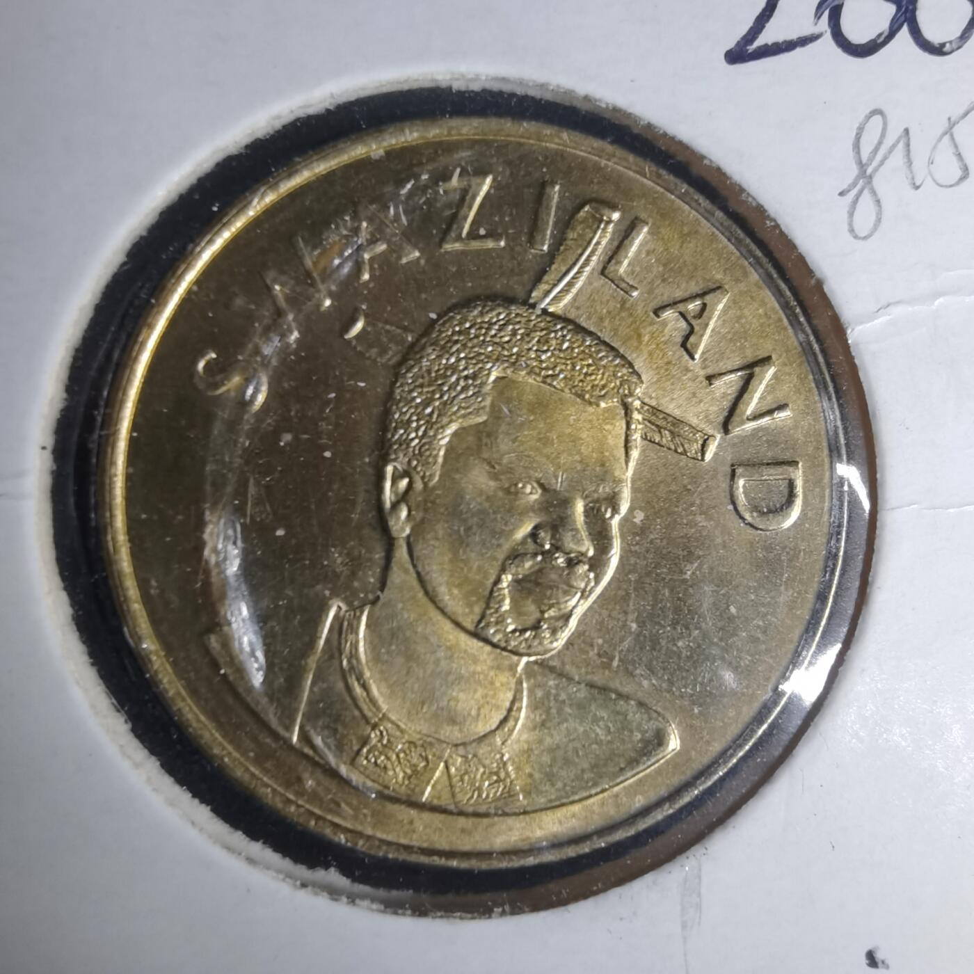 沼泽如烟--第981场