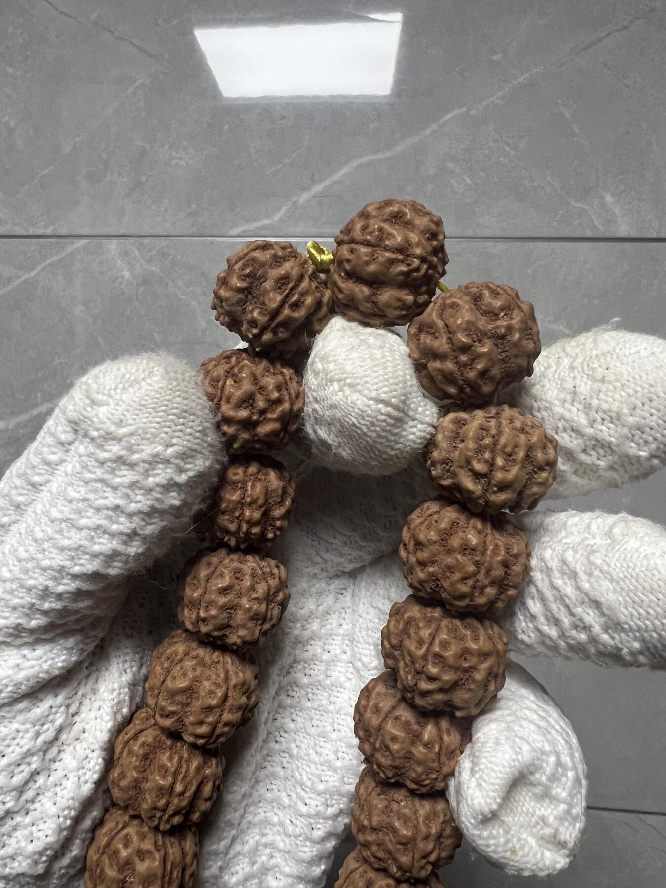 零元拍：超大龙花金刚手持，爆红爆肉，18.5/16左右