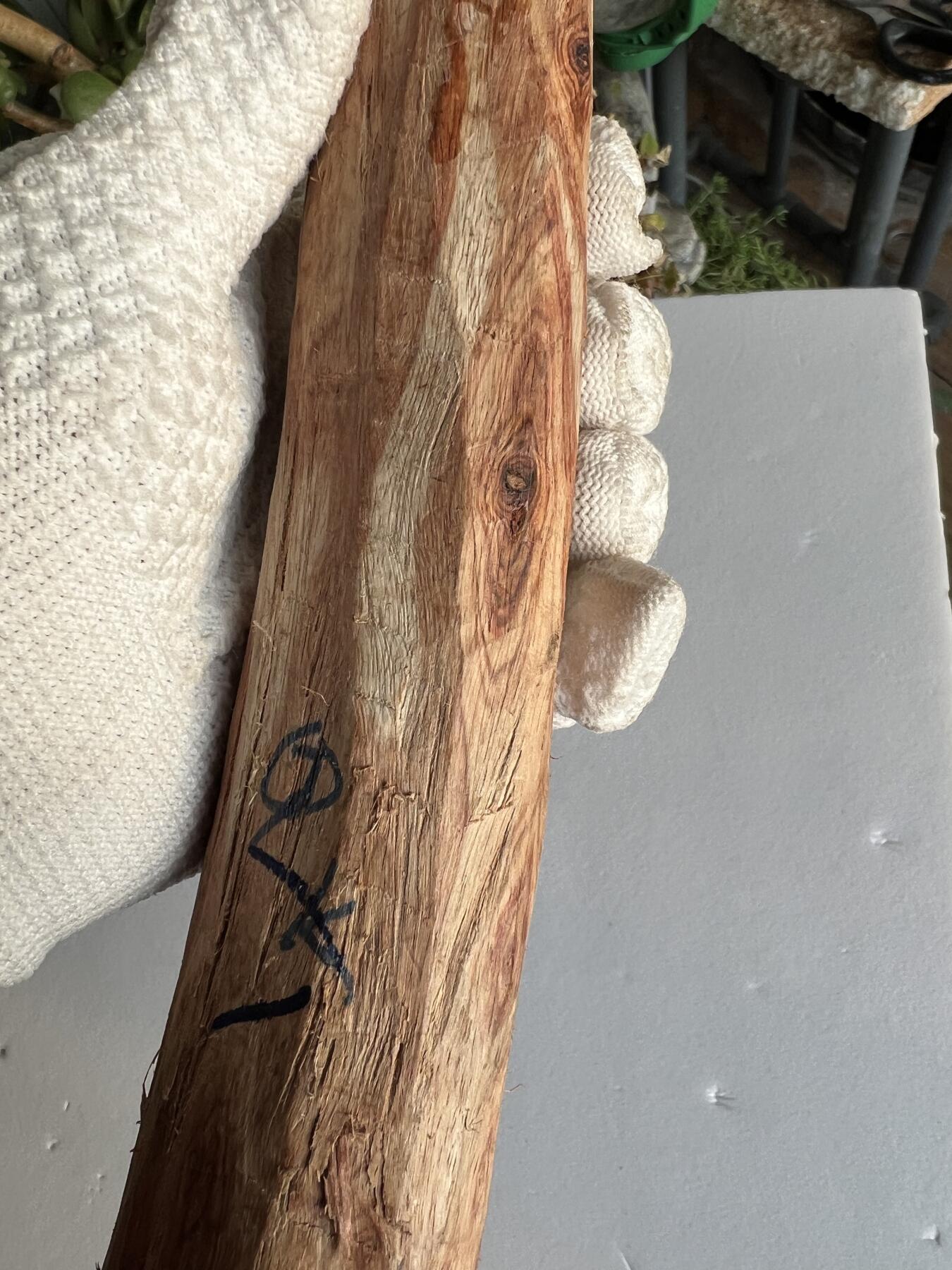 零元拍：NO.35-5 海南黄花梨珠子料，外面白皮基本都去掉了，红肉打底。290/40/35MM