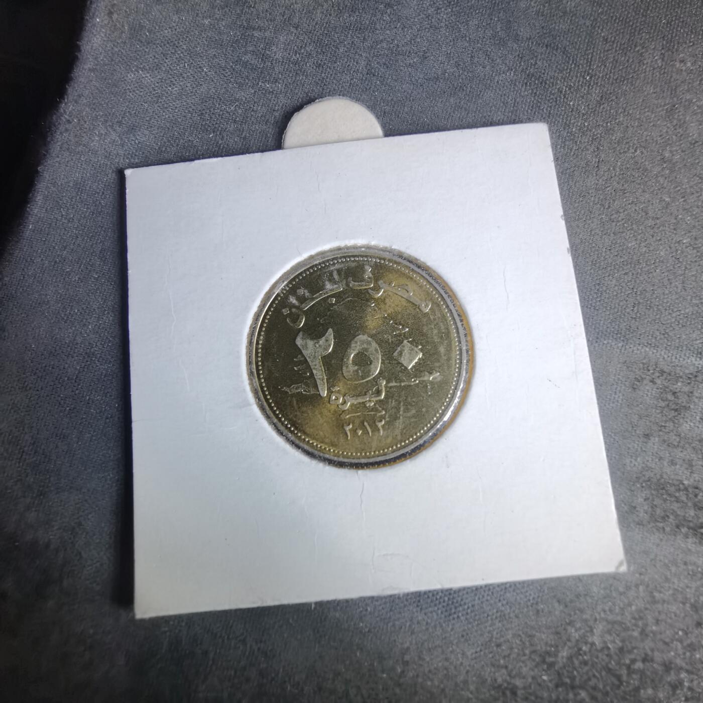 沼泽如烟--第981场