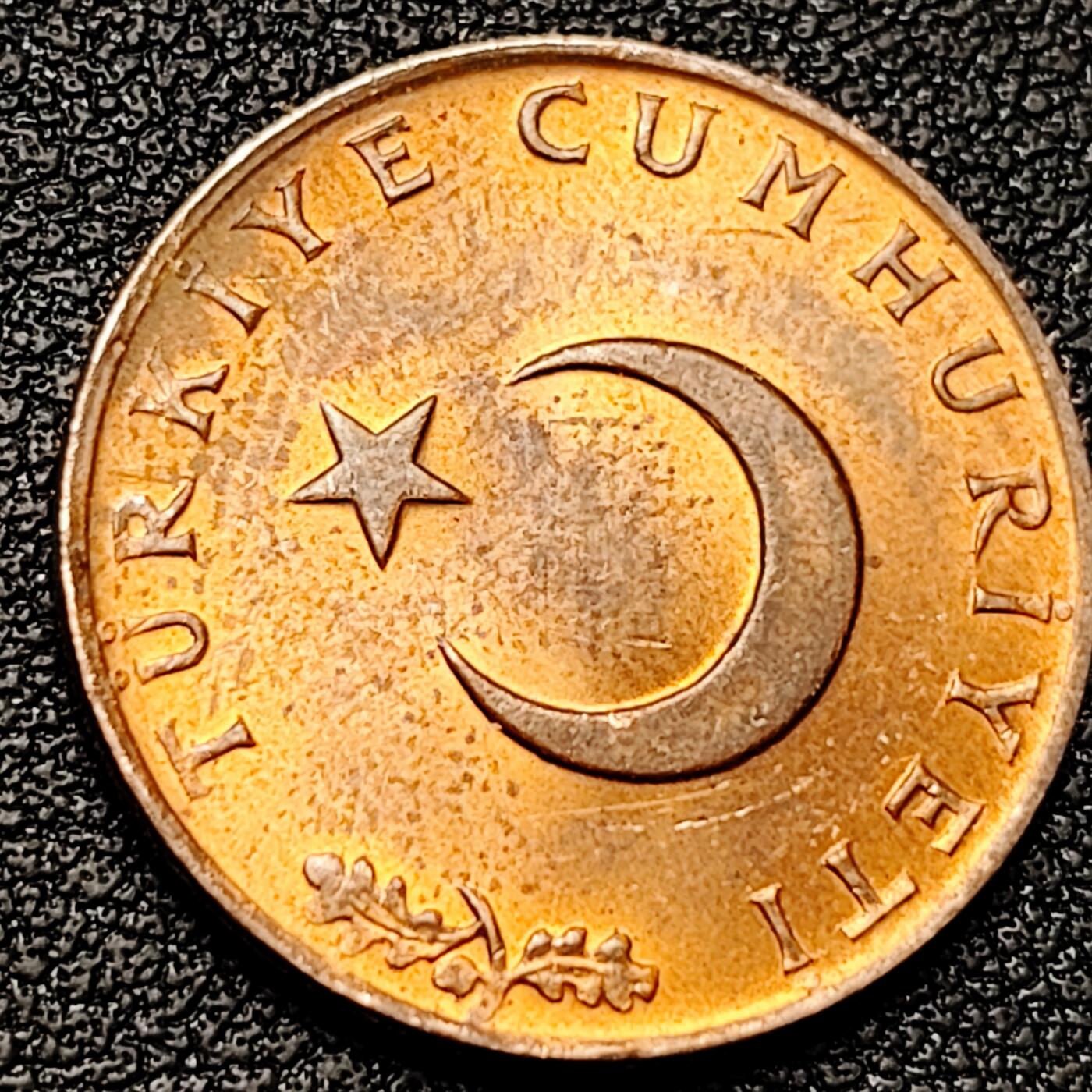 泉币菌-第180场- 精品福利场