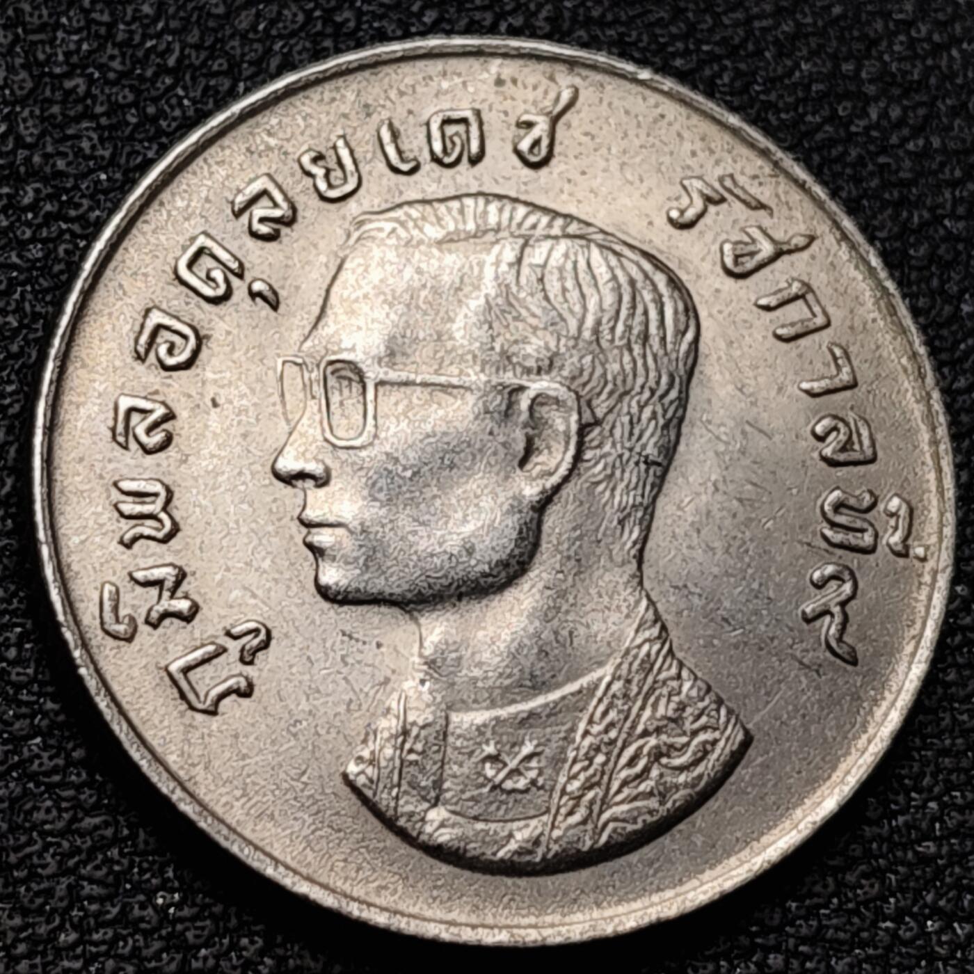 泉币菌-第180场- 精品福利场