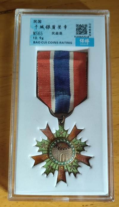 干城甲一，甲二（原绶带） - 干城甲一，甲二（原绶带）