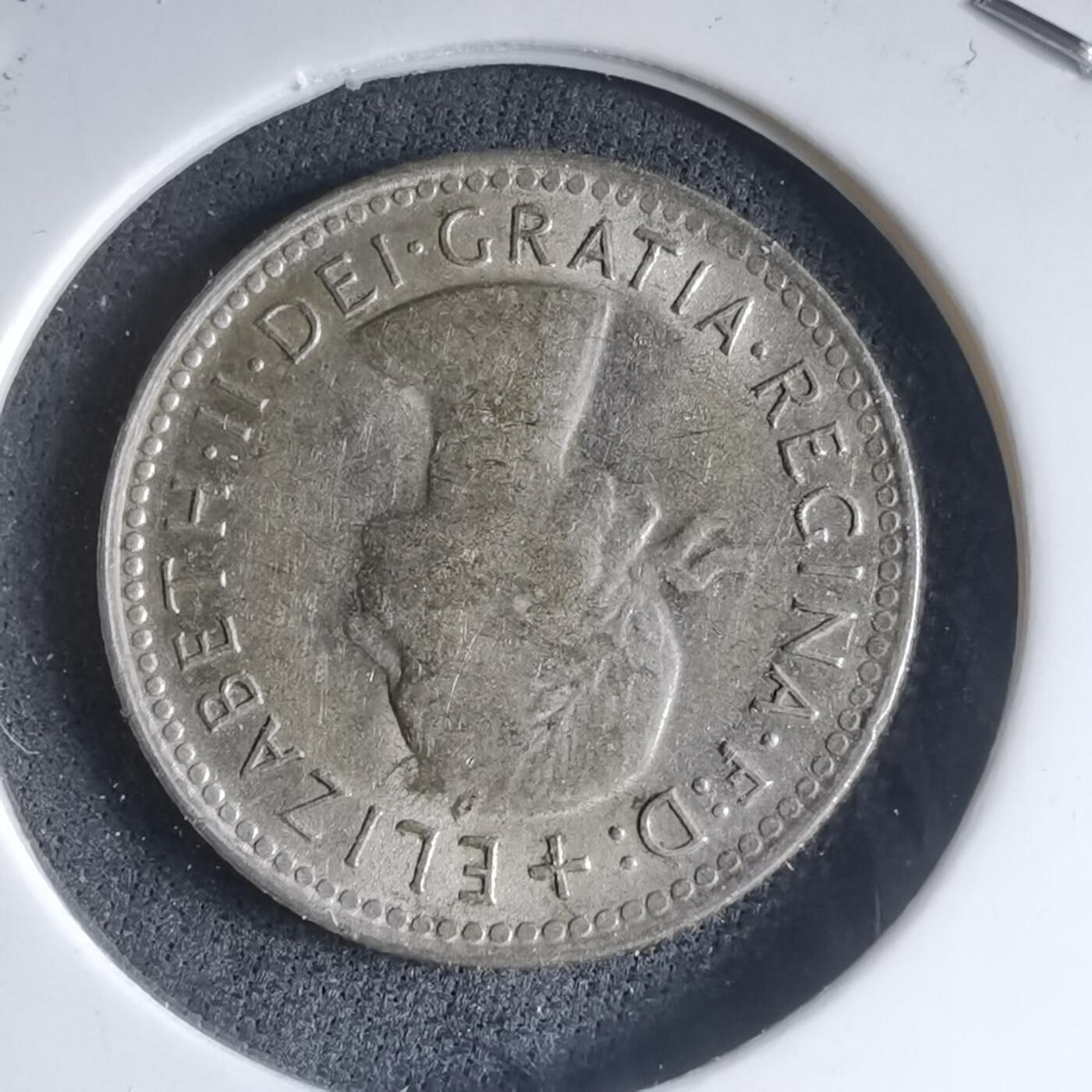 沼泽如烟--第981场