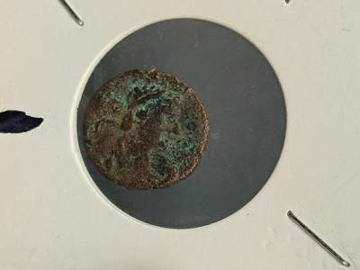 115期新疆红钱粟特钱币丝路钱币专场 - 丝路钱币版式