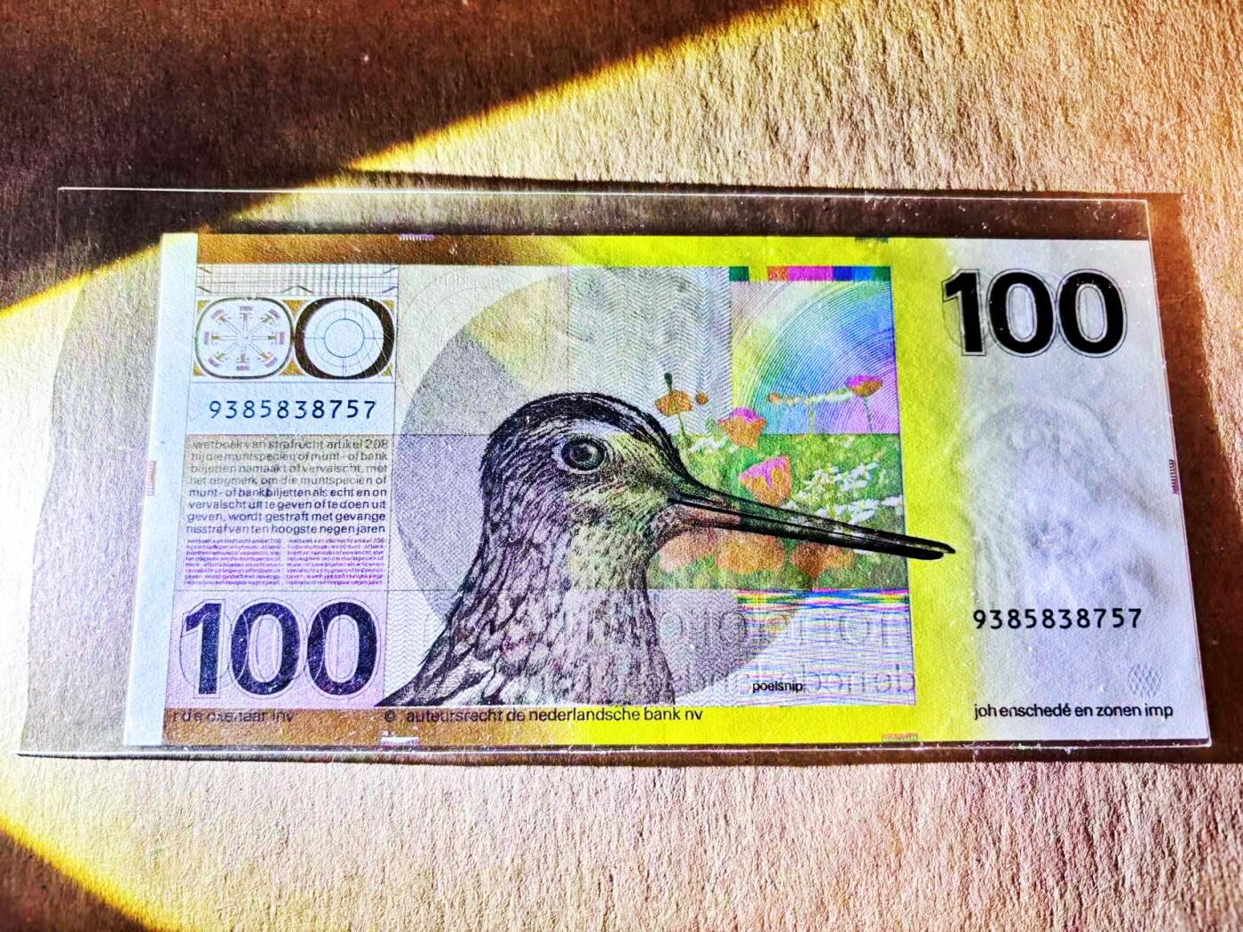 【Blue Auction】世界纸币精拍第781期——18级TOP拍卖/信誉/品质/专业/高效💫 荷兰 1977年100盾 水鸟 AU+