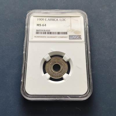 【全场包邮】纯粹捡漏拍499场-持续更新中 - 乌干达保护地