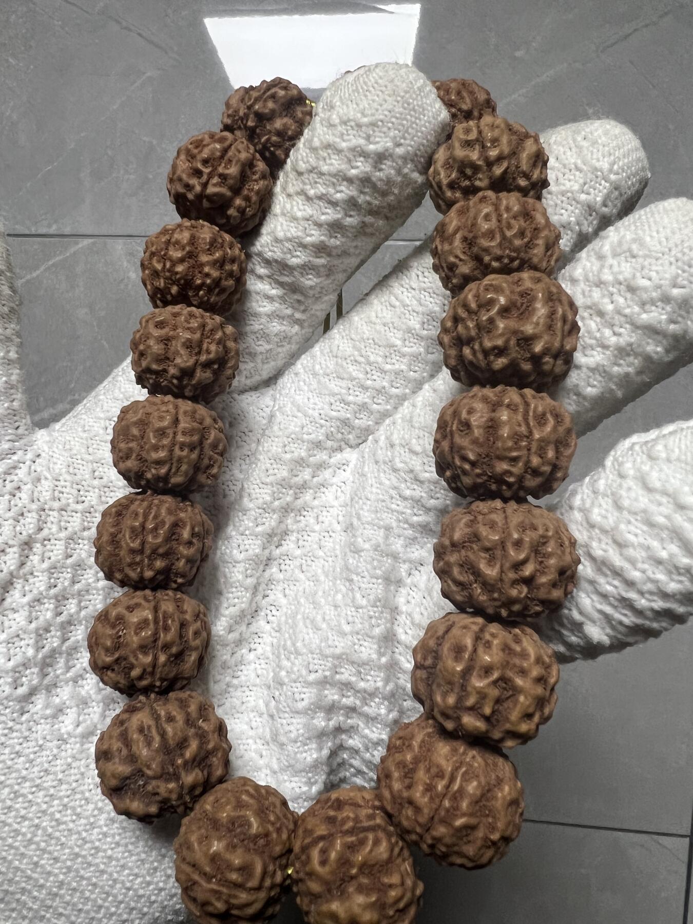 零元拍：超大龙花金刚手持，爆红爆肉，18.5/16左右