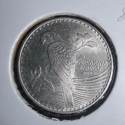 沼泽如烟--第981场 - 哥伦比亚2022年200比索