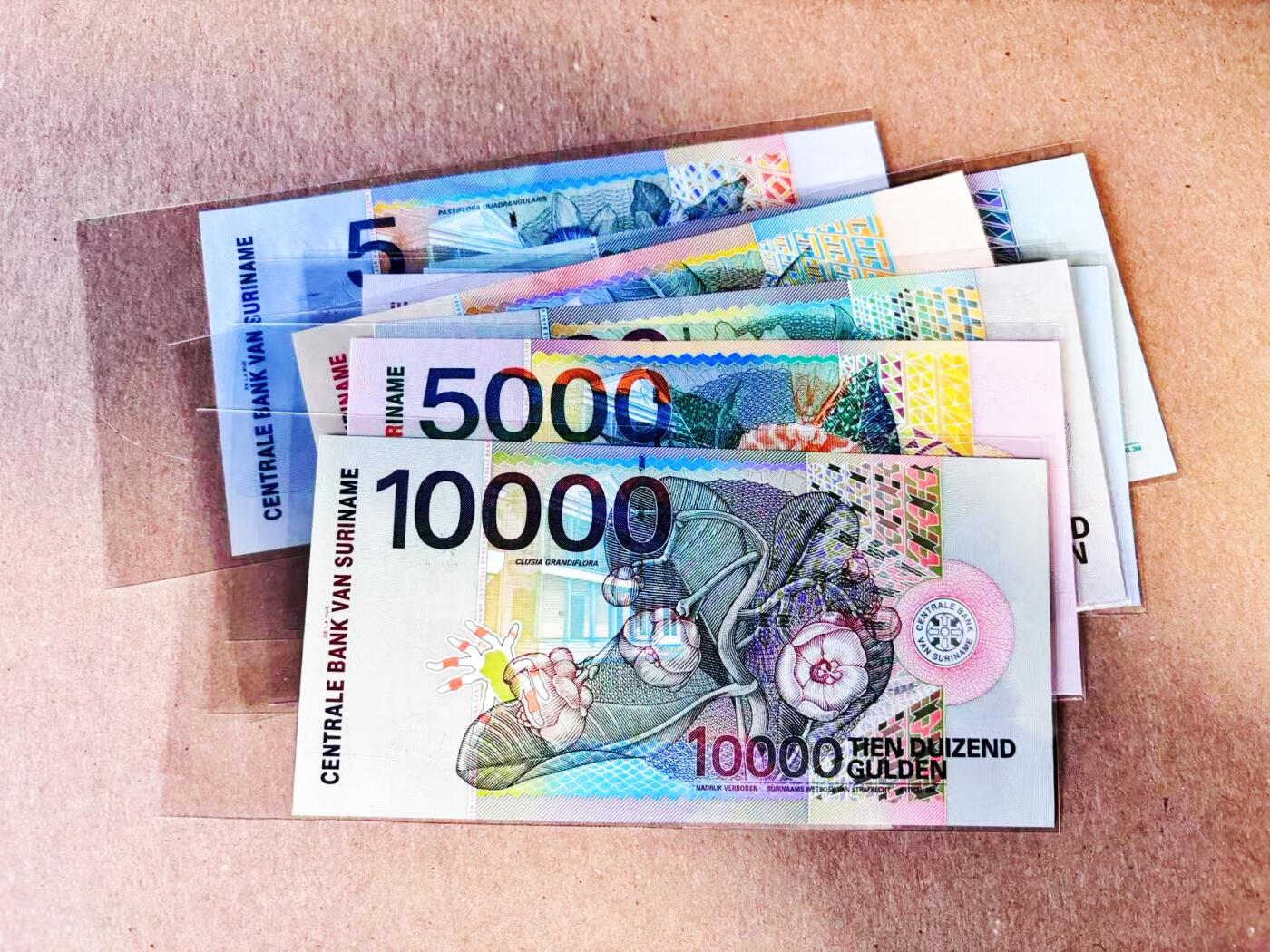 【Blue Auction】世界纸币精拍第781期——18级TOP拍卖/信誉/品质/专业/高效💫 【一组8张】苏里南 2000年5-10000盾 全新UNC 花鸟套