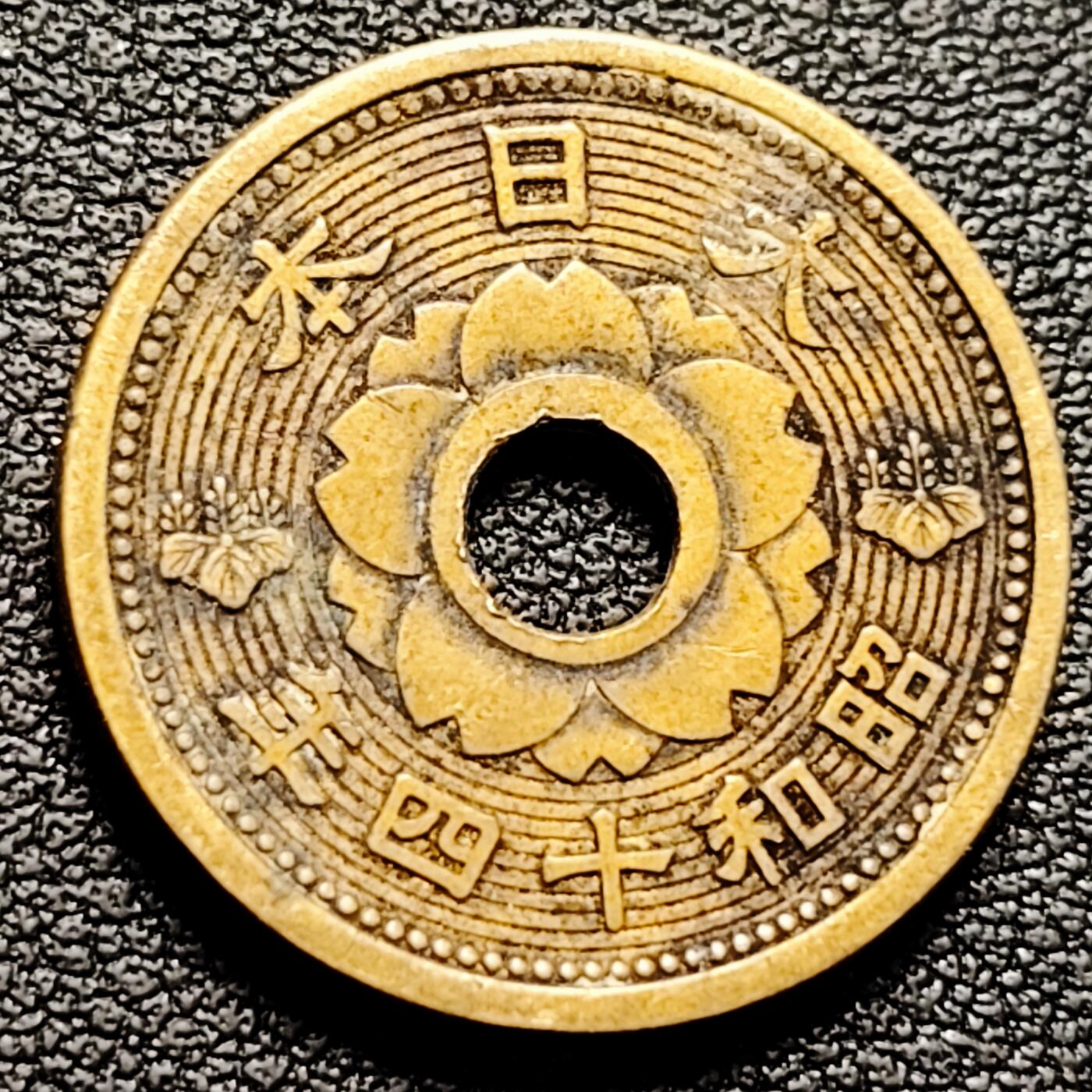 泉币菌-第180场- 精品福利场