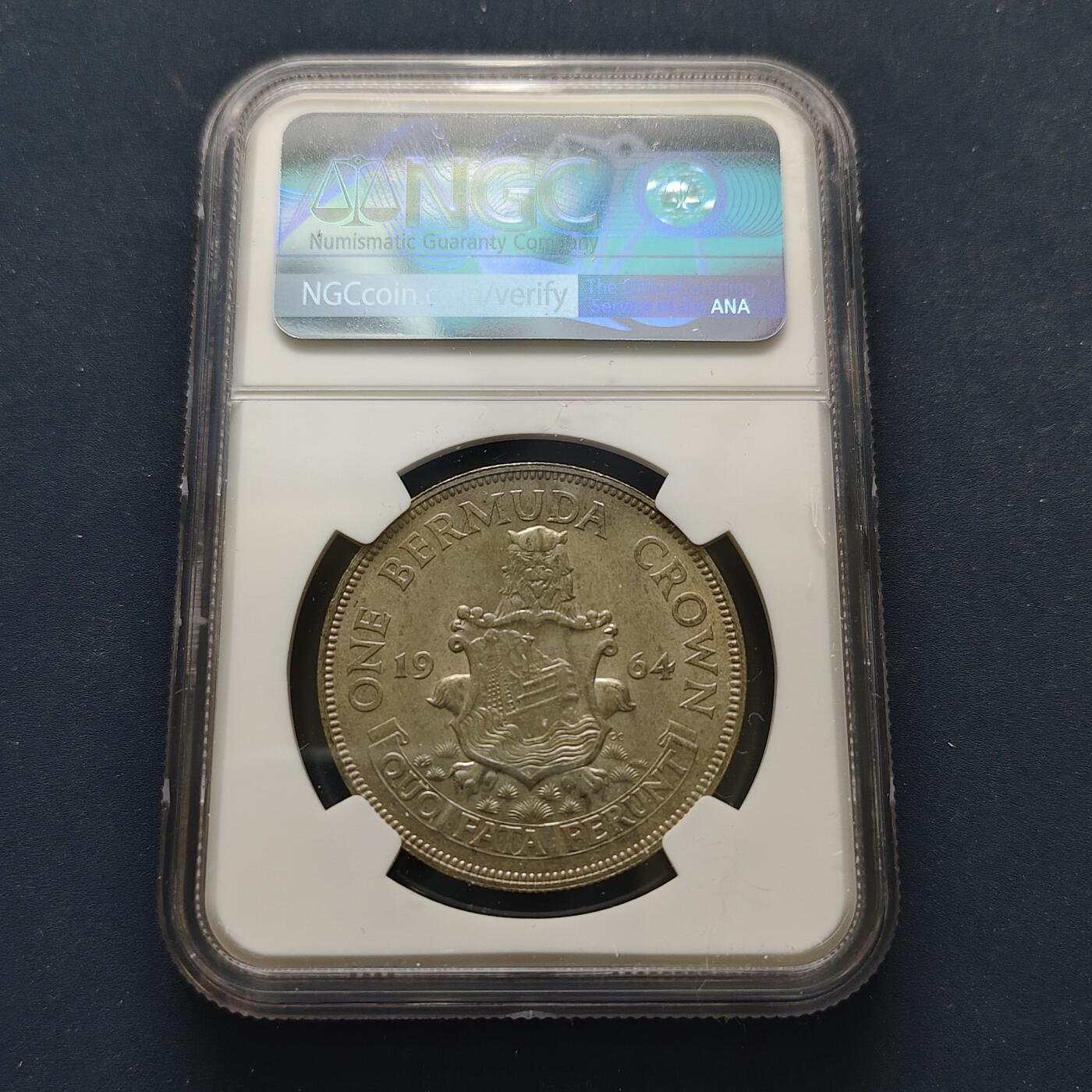 【全场包邮】纯粹捡漏拍499场-持续更新中