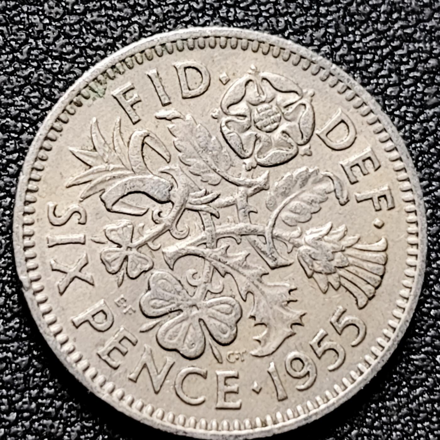 泉币菌-第180场- 精品福利场 。