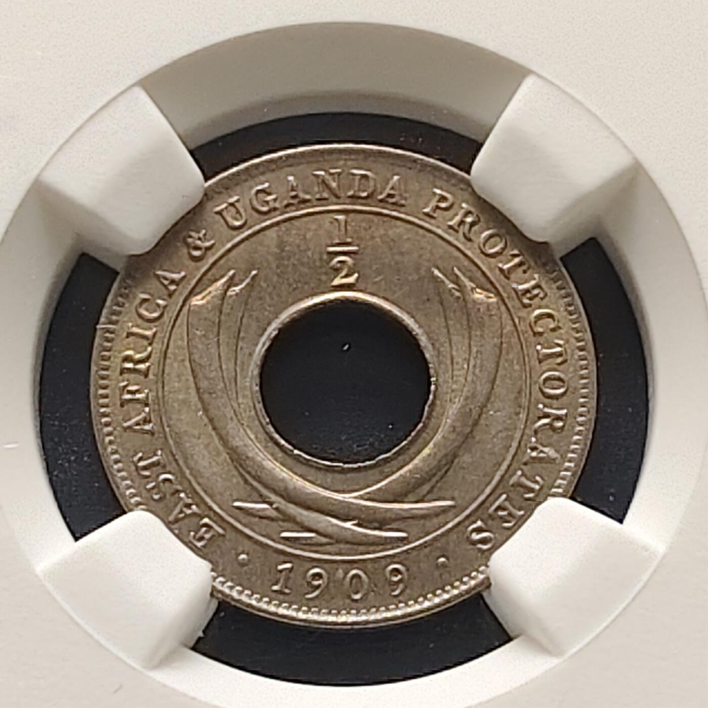 【全场包邮】纯粹捡漏拍499场-持续更新中