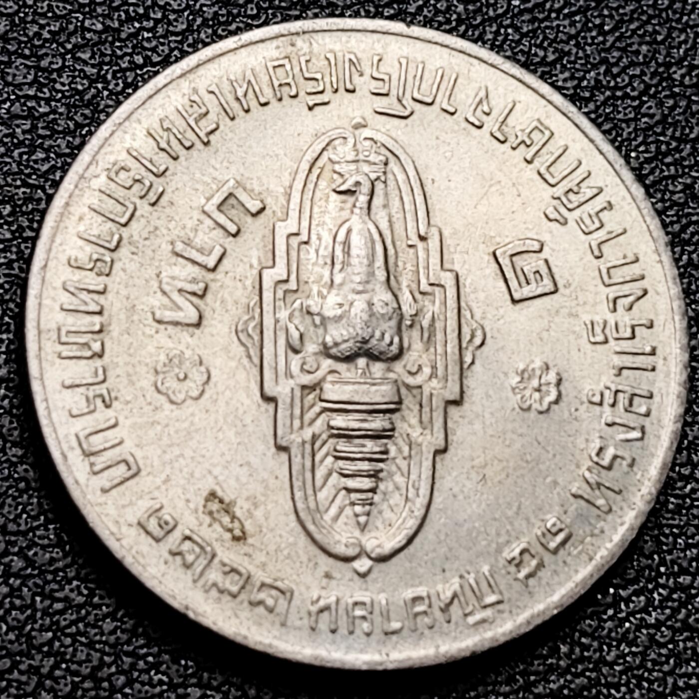 泉币菌-第180场- 精品福利场