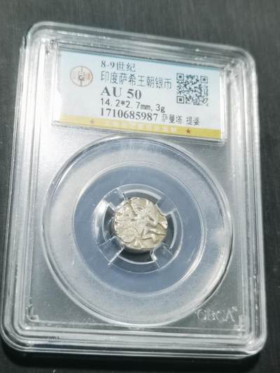 天下钱庄专场欢迎参拍 - 萨希王朝银币