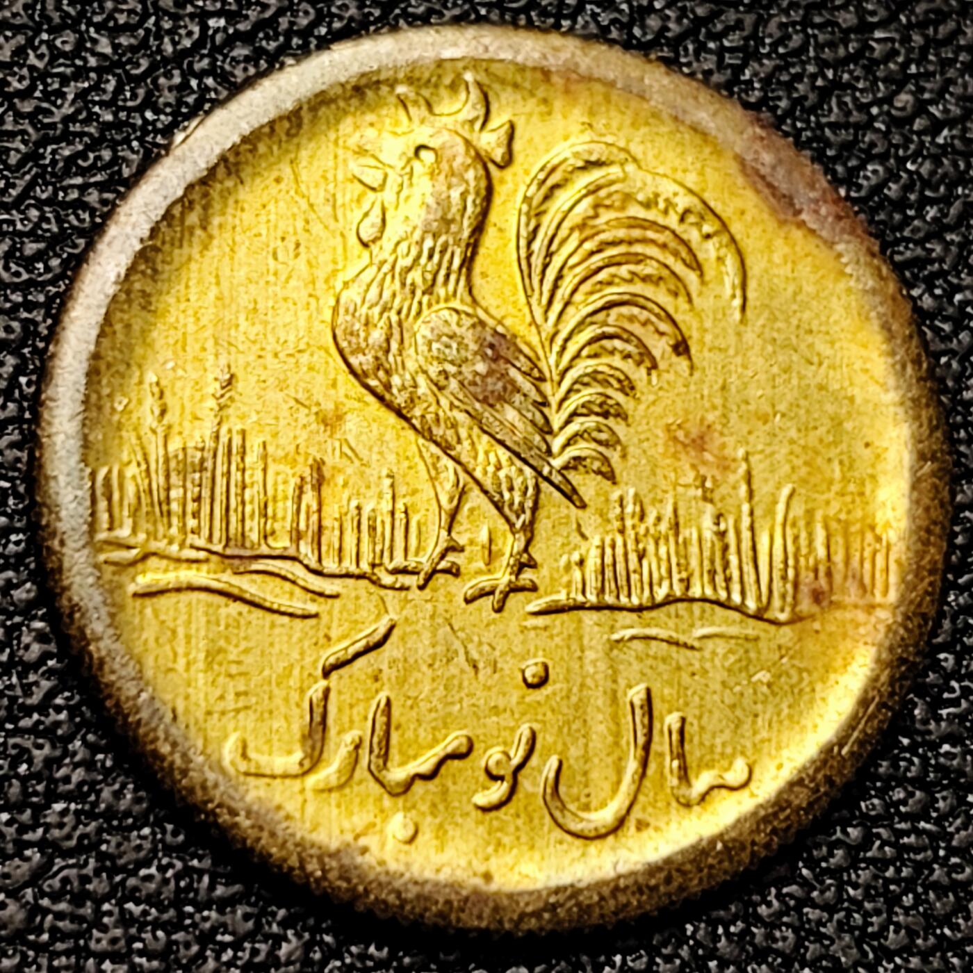 泉币菌-第180场- 精品福利场