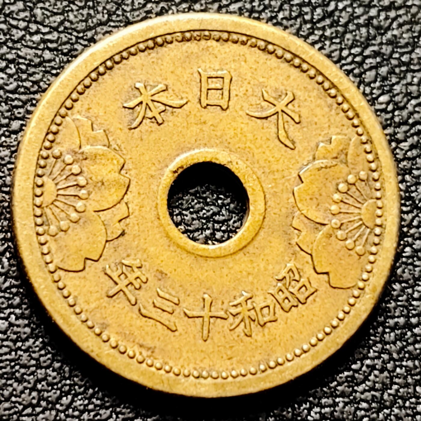 泉币菌-第180场- 精品福利场