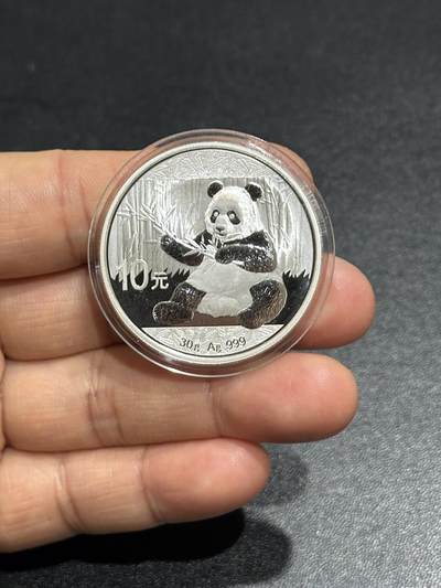 《外钞收藏家》第六百零六期（精品场）（本平台长期征集拍品、欢迎藏友们联系合作） - 2017年熊猫银币裸币1枚 30克 边上有氧化