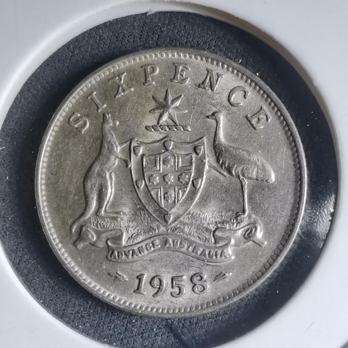 沼泽如烟--第981场