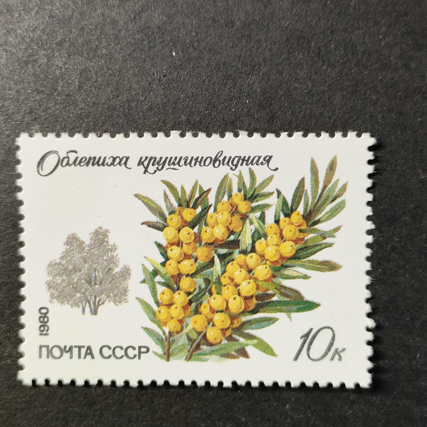 嘉禾收藏    【第454期】            无佣金、可寄存、满30元包邮 苏联邮票