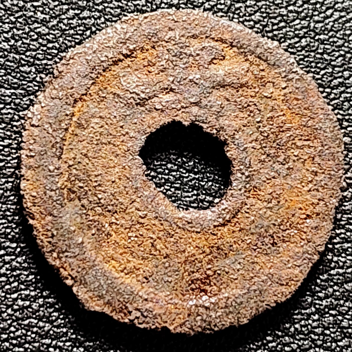 泉币菌-第180场- 精品福利场