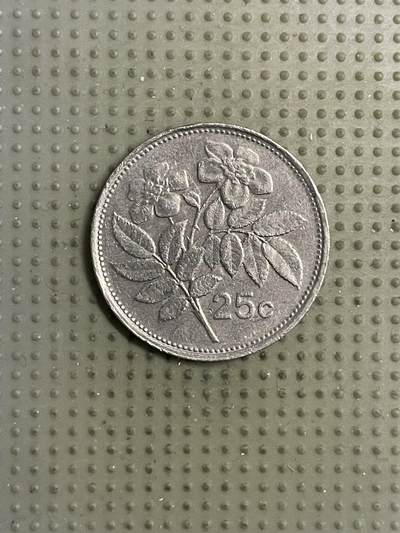 2026年第19场各国散币拍卖（总第169场） - 马耳他1993年25分