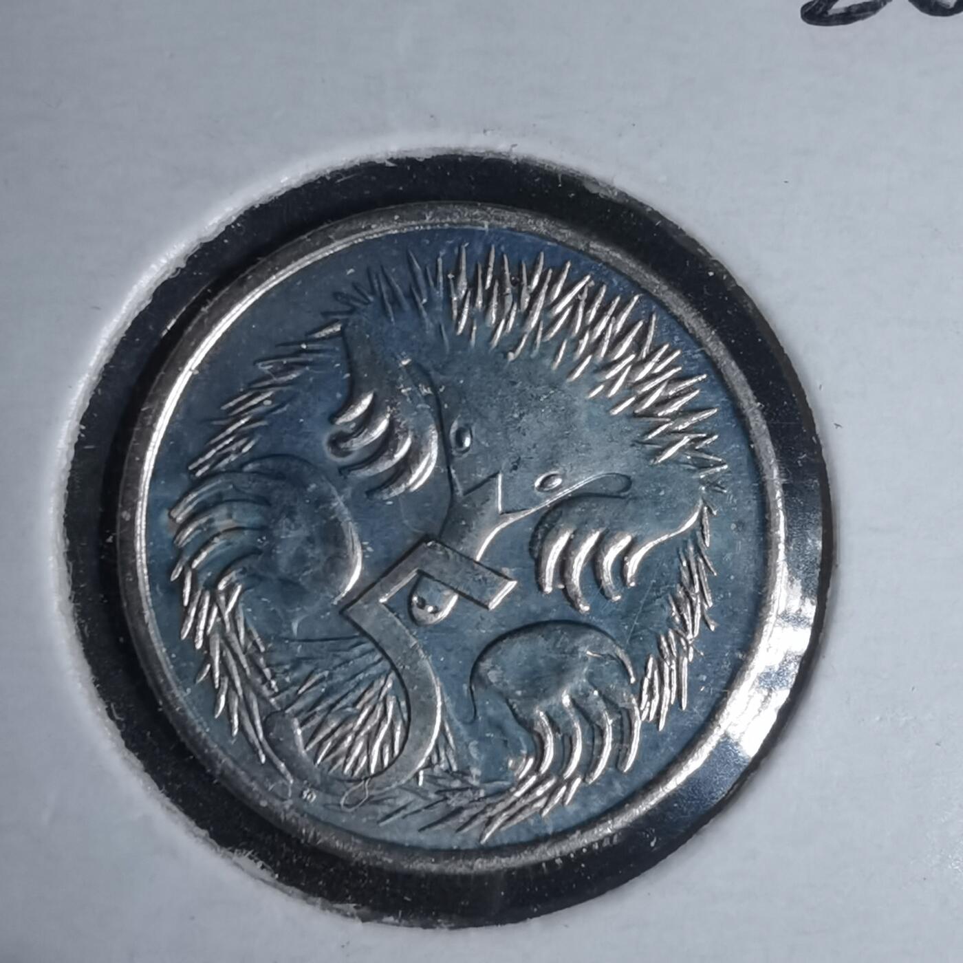 沼泽如烟--第981场 澳大利亚2020年五分