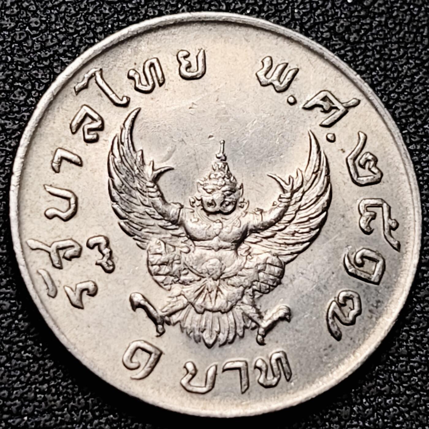 泉币菌-第180场- 精品福利场