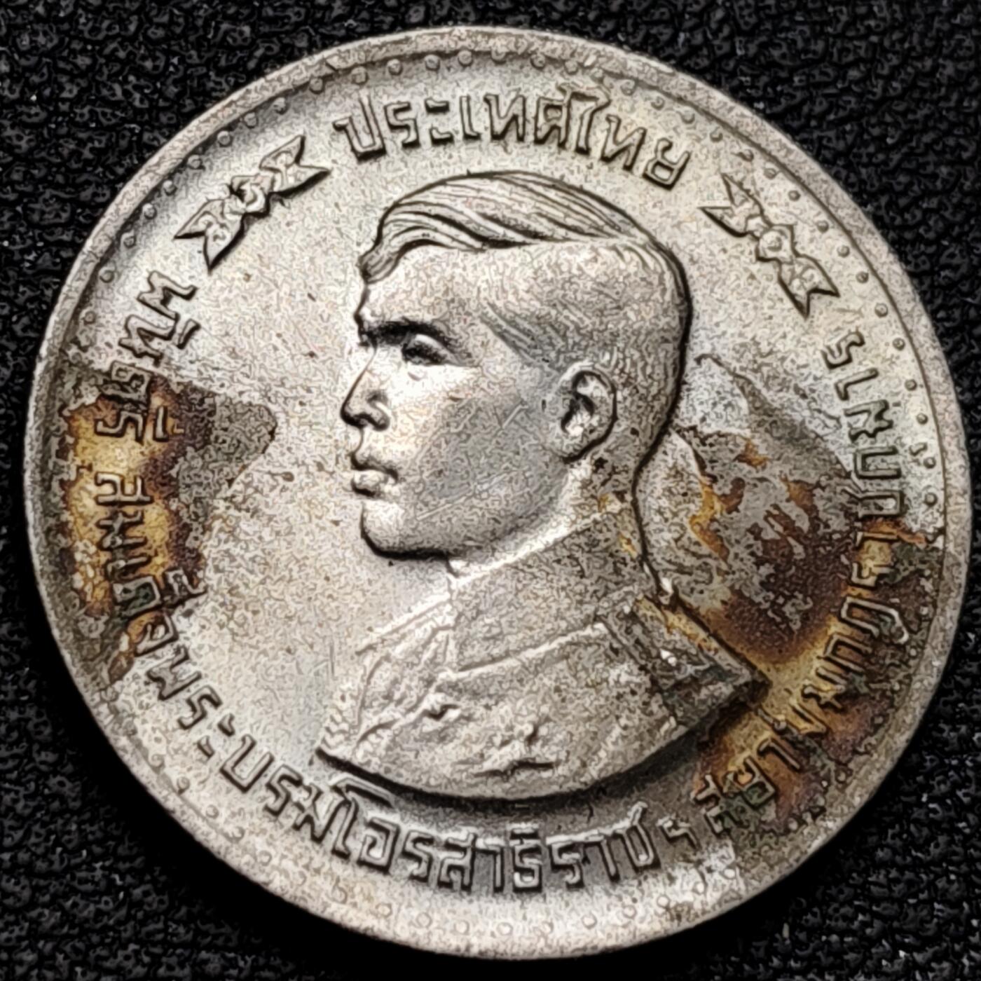 泉币菌-第180场- 精品福利场