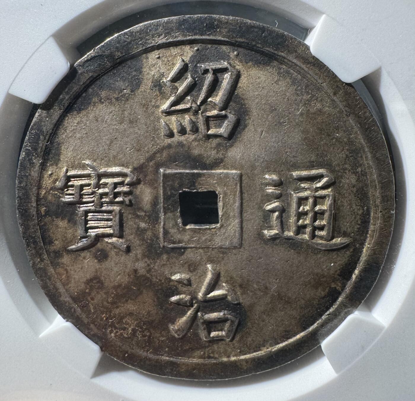 安南嗣德通宝富寿多男银币 