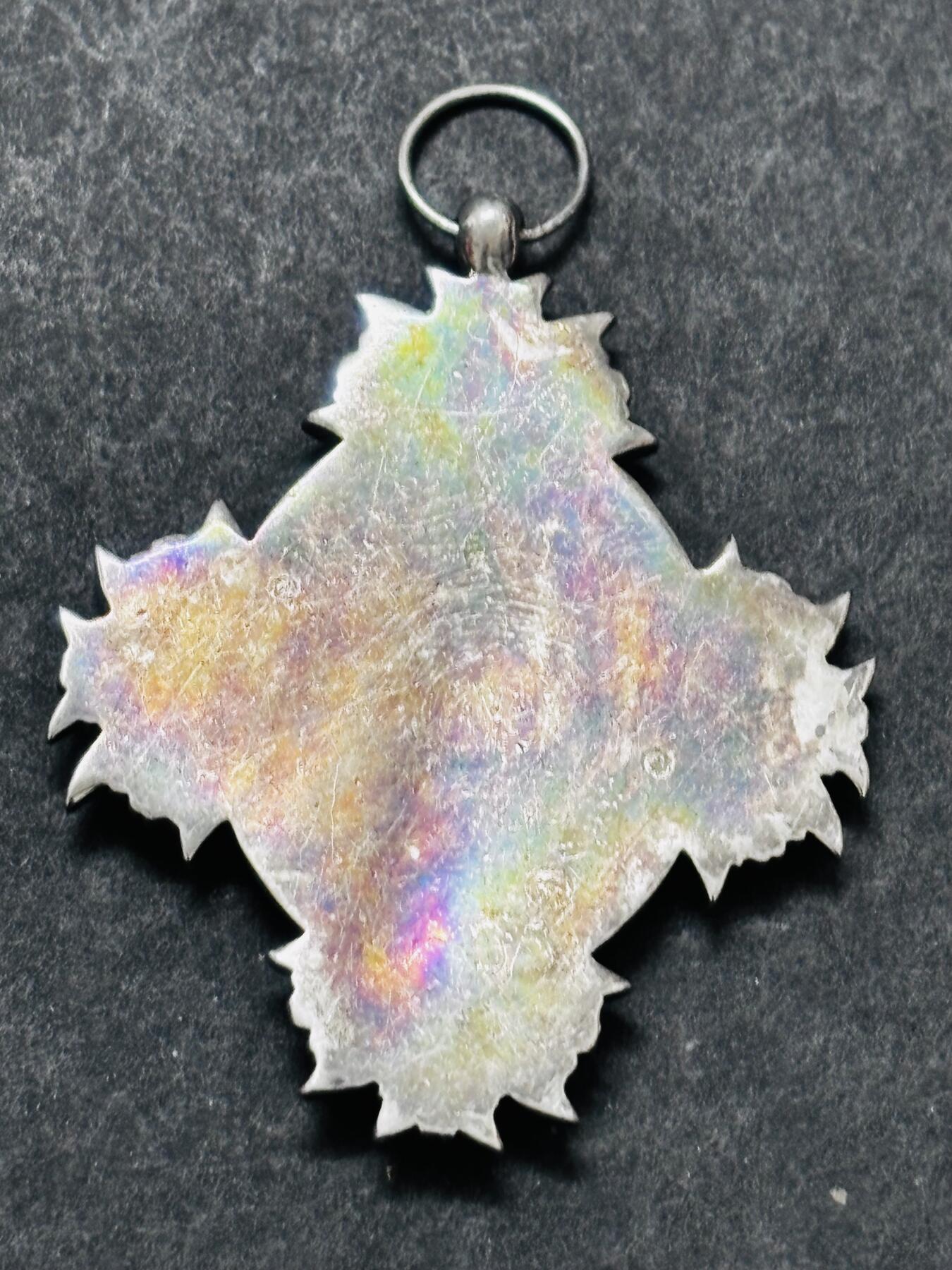 文馨钱币收藏 2026新年第五场（第 291 场）【长期接代拍品】 七彩纪念章，不懂第一次见