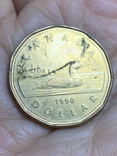 2026年第十六场(总第一百八十五场）外国好品散币场(免佣金) - 加拿大🇨🇦1990年1元(伊丽莎白二世中年高冠)