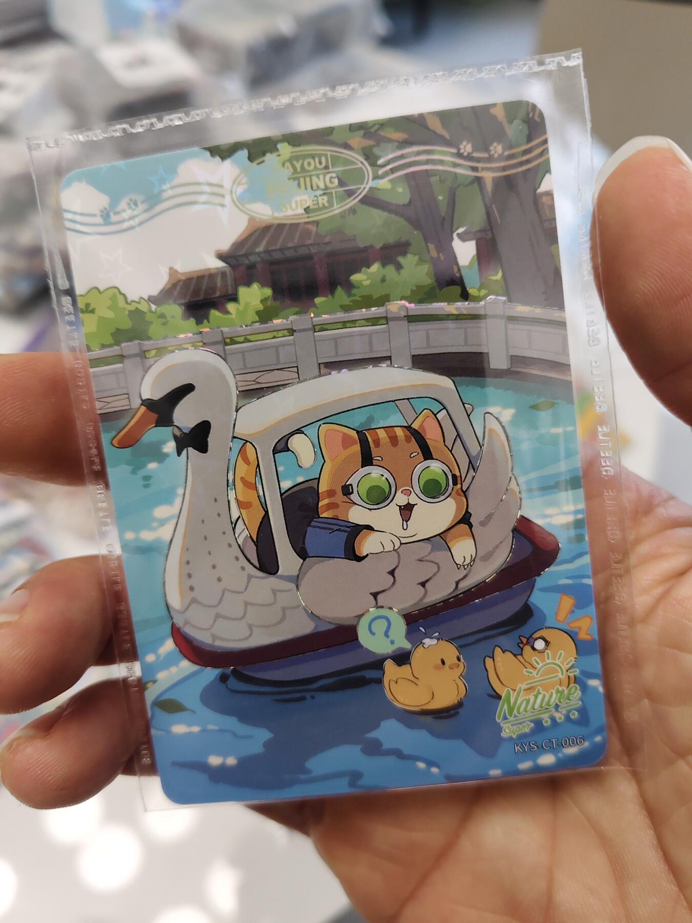 秋原瞳的小店第三十五期（年终大促2/3.进货入册的千万别错过，年味越来越浓了，无限接近快乐的时候那是最快乐的）