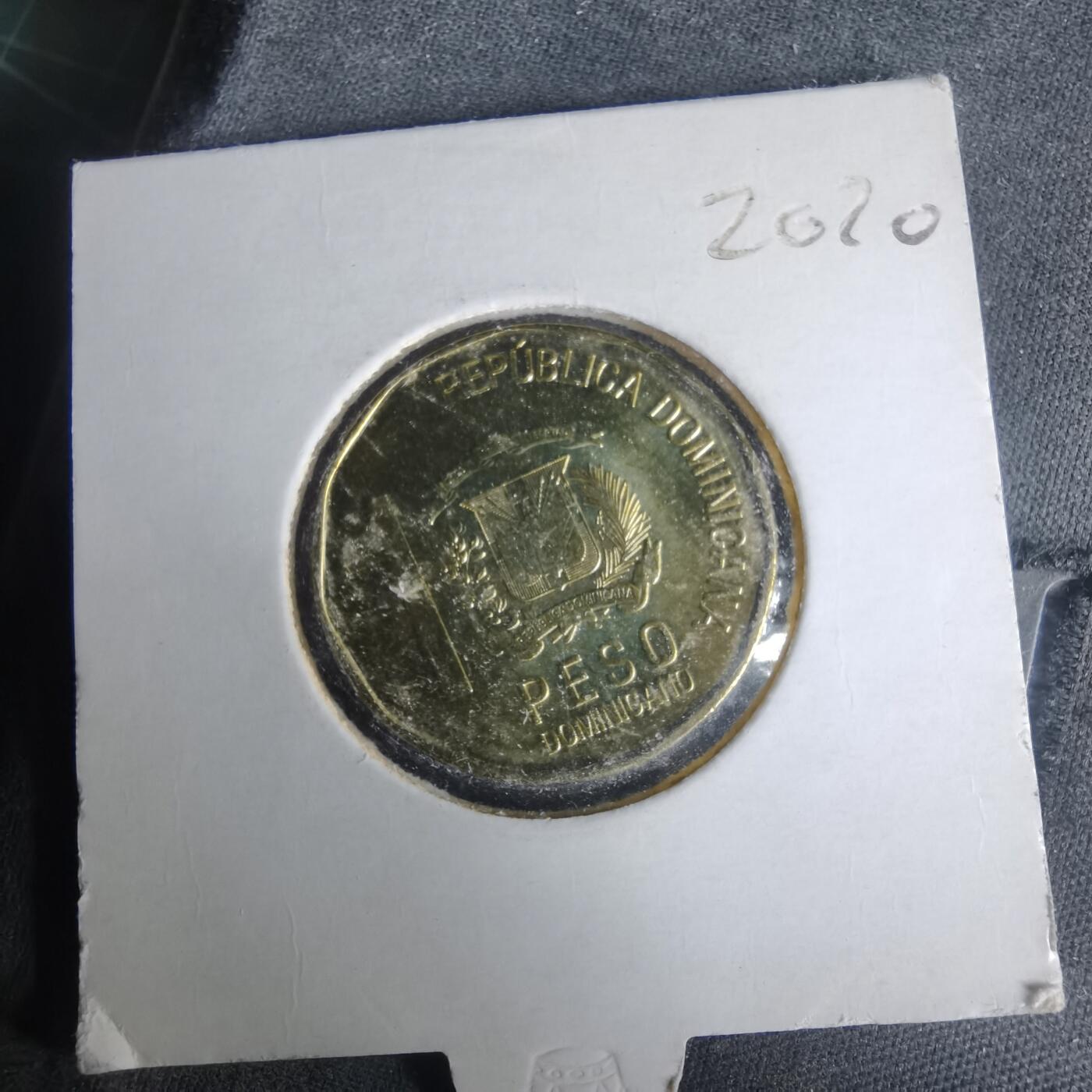 沼泽如烟--第981场