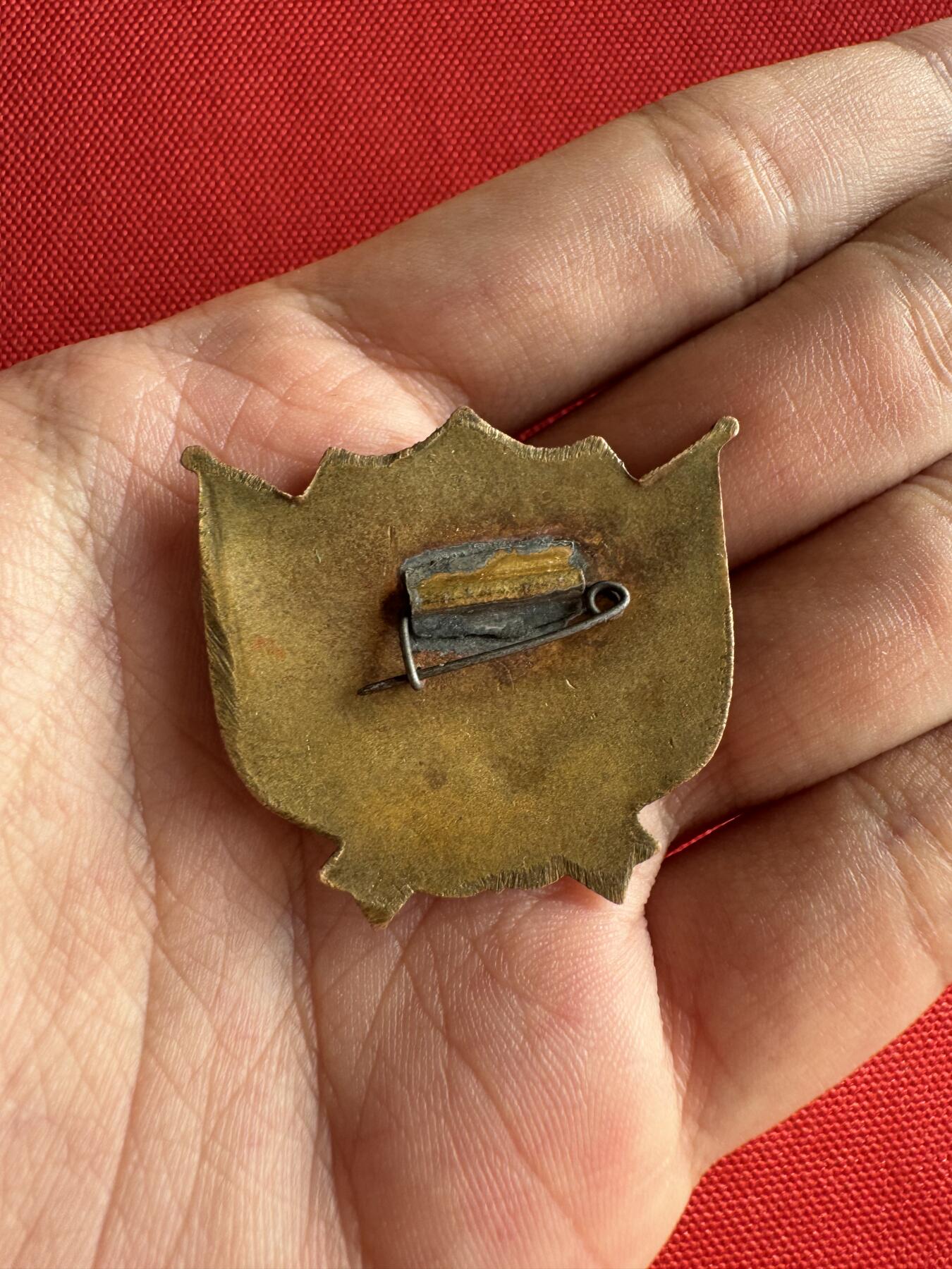 五哥徽章群   31号周六晚上八点4群联拍 铜章