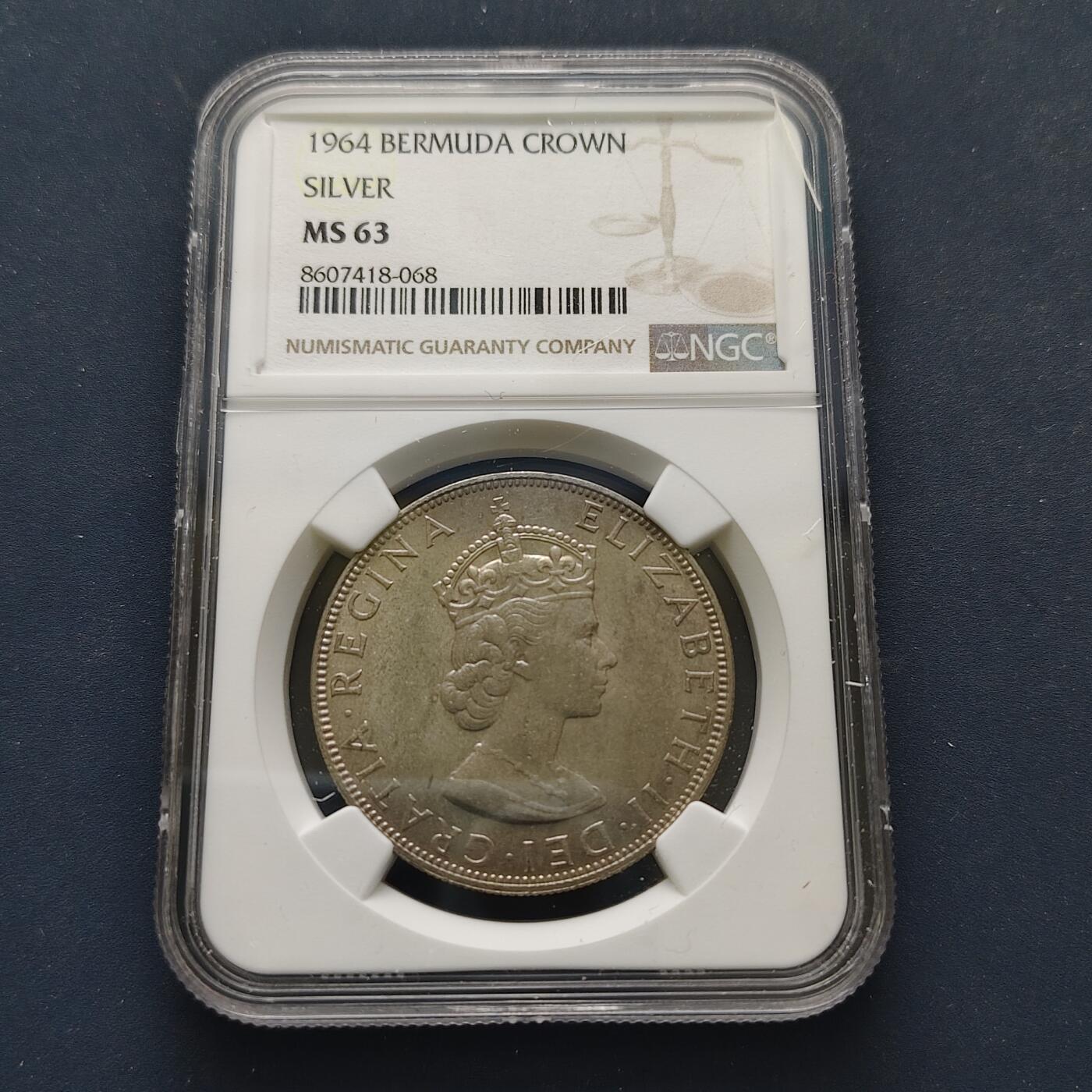 【全场包邮】纯粹捡漏拍499场-持续更新中