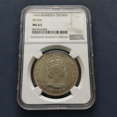 【全场包邮】纯粹捡漏拍499场-持续更新中 - 百慕大