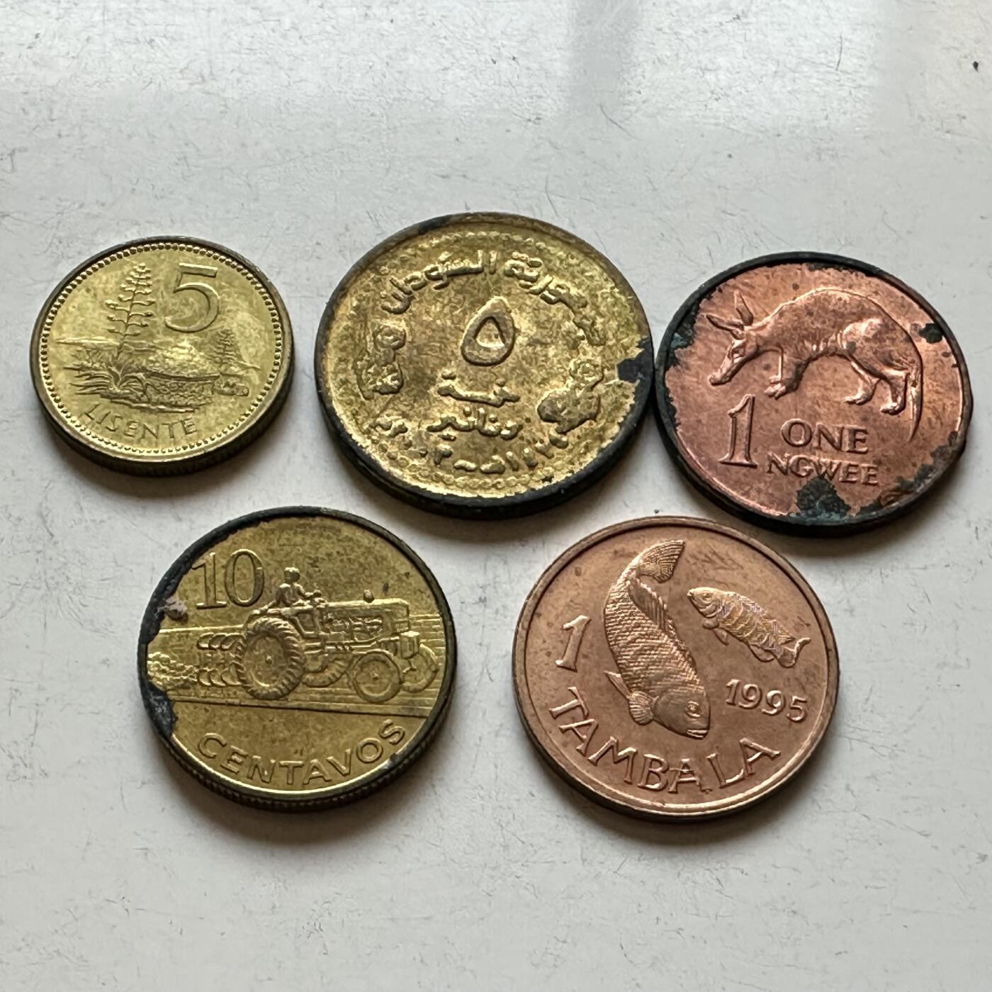 🌹外币初藏🌹🐯2026年第14场  每周二四六晚8️⃣点 接代拍 非洲散币5枚组—1