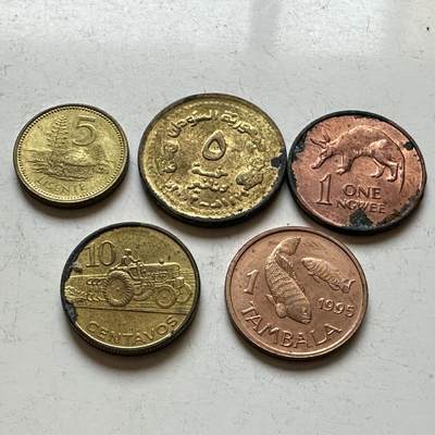 🌹外币初藏🌹🐯2026年第14场  每周二四六晚8️⃣点 接代拍 - 非洲散币5枚组—1