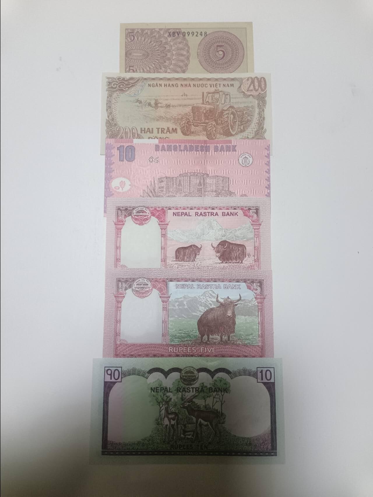 【20260203】非全新纸币和硬币第331场