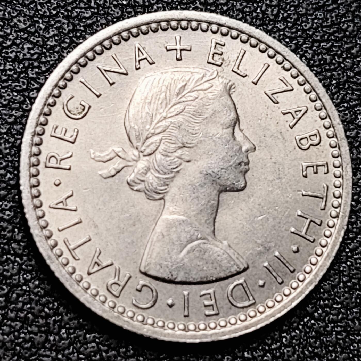 泉币菌-第180场- 精品福利场 。