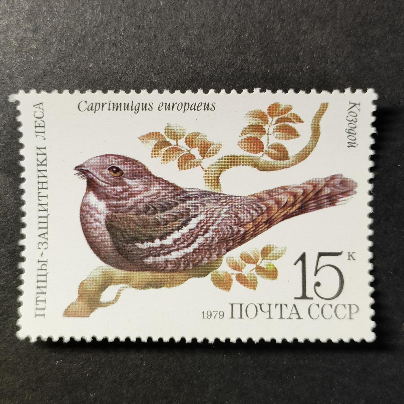 嘉禾收藏    【第454期】            无佣金、可寄存、满30元包邮 苏联邮票