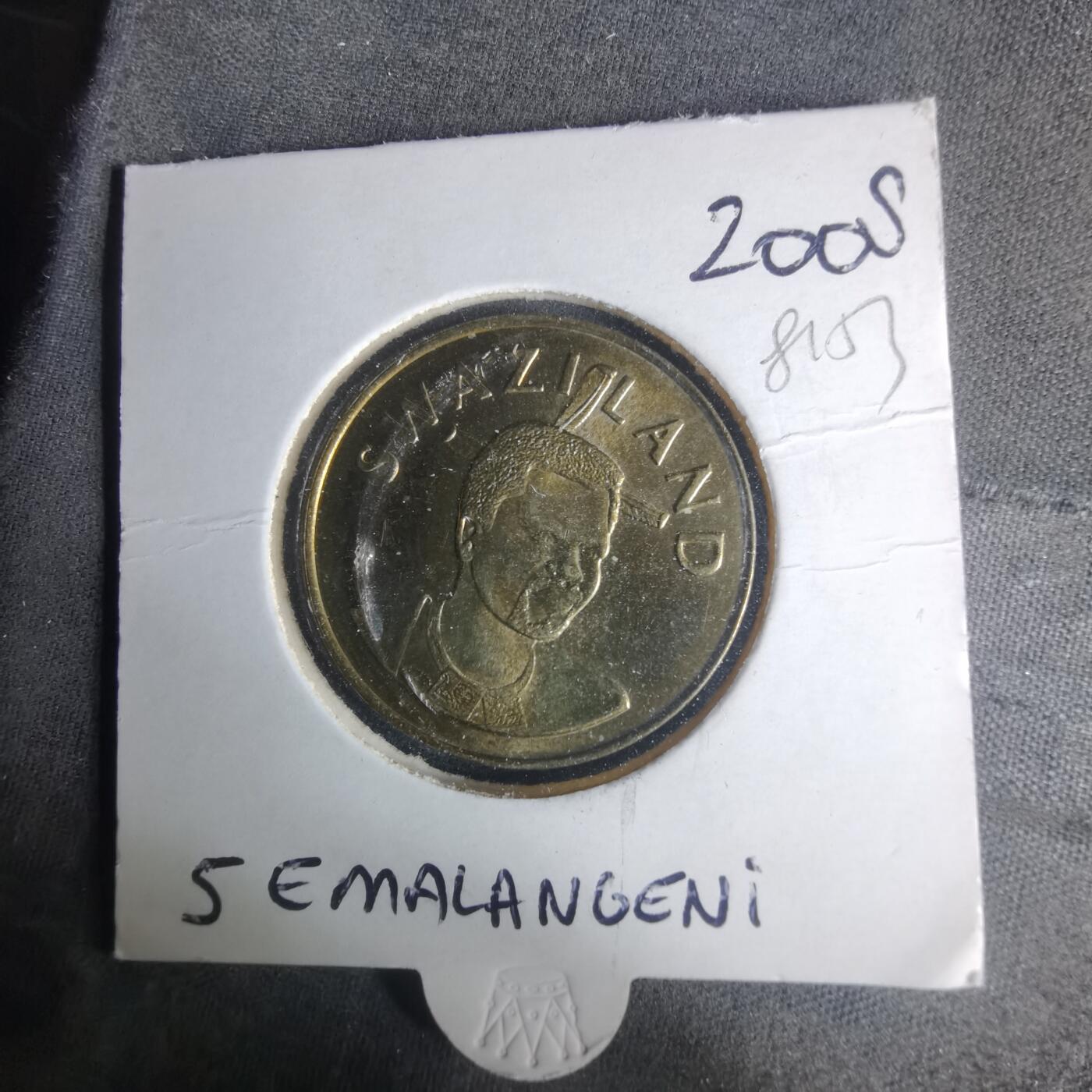 沼泽如烟--第981场